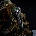 Enchanted Silver Ring with Emerald and Claw Design
