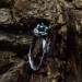 Gothic Emerald Ring with Nature-Inspired Branch Design