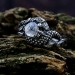 Bold Gothic Ring with Moonstone and Claw Motif