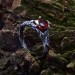 Gothic Silver Ring with Fiery Garnet