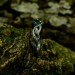 Gothic Emerald Ring with Enchanted Branch Design