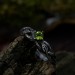 Elegant Gothic Ring with Peridot Gemstone