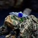 Delicate Silver Band Featuring a Blue Sapphire Gemstone