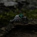 Forest Grace: Gothic Sterling Silver Ring with Emerald Gemstone