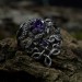 Gothic Dragon Ring with Radiant Amethyst Gemstone