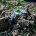 Gothic Peridot Ring with Mystical Leaf Motif