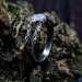 Enchanting Gothic Ring with Moonstone Gemstone