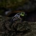 Elegant Gothic Ring with Peridot Gemstone