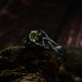 Forest's Embrace: Gothic Sterling Silver Ring with an Enchanted Olivine