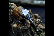 Dainty Moonstone Engagement Ring with Branch Band, Unique Moon Flower Promise Ring for Woman, Vintage Style Forest Wedding Ring