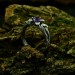 Gothic Amethyst Ring with Enchanted Leaf Design