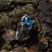 Gothic Silver Ring Featuring Sky Blue Topaz Gemstone