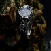 Gothic Moonstone Ring with Intricate Forest Design