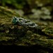 Gothic Emerald Ring with Enchanted Branch Design