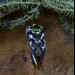 Nature-Inspired Gothic Ring with Bright Olivine