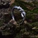 Intricate Twisted Silver Ring with Nature-Inspired Vine Design