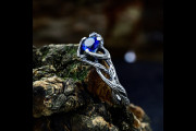 Silver Leaf Ring with Sapphire, Unique Braided Plant Engagement Ring, Non Traditional Branch Nature Ring, Silver Forest Jewelry