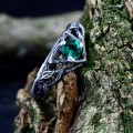 Elegant Silver Ring with Mystical Emerald Gemstone