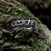 Intricate Gothic Ring with Rune-Inspired Design