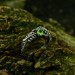 Guardian's Vine: Gothic Sterling Silver Ring with Olivine Gemstone