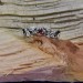 Gothic Garnet Ring with Twisting Vine Motif