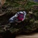 Gothic Ruby Heart Ring with Dragon Claws