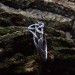 Woven Eternity: Gothic Sterling Silver Ring with Celtic Knotwork