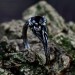 Gothic Obsidian Ring with Enchanted Floral Motif