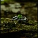 Guardian's Vine: Gothic Sterling Silver Ring with Olivine Gemstone