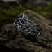 Gothic Silver Ring with Intricate Thorn Motif