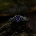 Gothic Amethyst Ring with Intricate Twisting Design