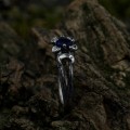 Stunning Silver Ring with Sapphire and Lunar Motif
