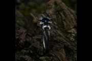 Triple Moon Phase Ring with Celestial Blue Sapphire Flower, Fantasy Crescent Moon Engagement Ring with Floral Design for Women in Silver