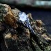 Elegant Silver Ring with Moonstone - Capturing Lunar Grace