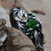 Elegant Silver Vine Ring with Emerald – A Gothic Romance