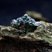 Whispers of the Forest: Sterling Silver Ring with Emerald Accents