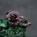 Silver Dragon Scale Ring: Handcrafted Mystical Fantasy Jewelry