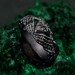 Echo of Eternity: Gothic Skull Band