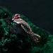 Exquisite Twin Snakes Emerald Ring - Unique Boho Serpent Design