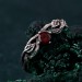 Leafy Branch with Garnet Ring – Nature-Inspired Silver Twig Jewelry