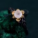 Enchanted Forest Ring - Blossom Twig and Woodland Whispers Design