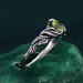Gothic Elegance Engagement Ring - Nature's Embrace and Woodland Promise Ring