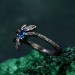 Fluttering Butterfly Gem Ring with Sapphire and Silver Design