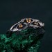 Elegant Braid Tree Branch Ring for Men – Pagan Twist Branch Engagement Ring