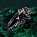 Forest Shadows: Sterling Silver Skull Ring