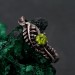 Peridot Fern Branchlet Ring