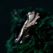 Handcrafted Silver Leaf Ring – Unique Gothic Style Wedding Band