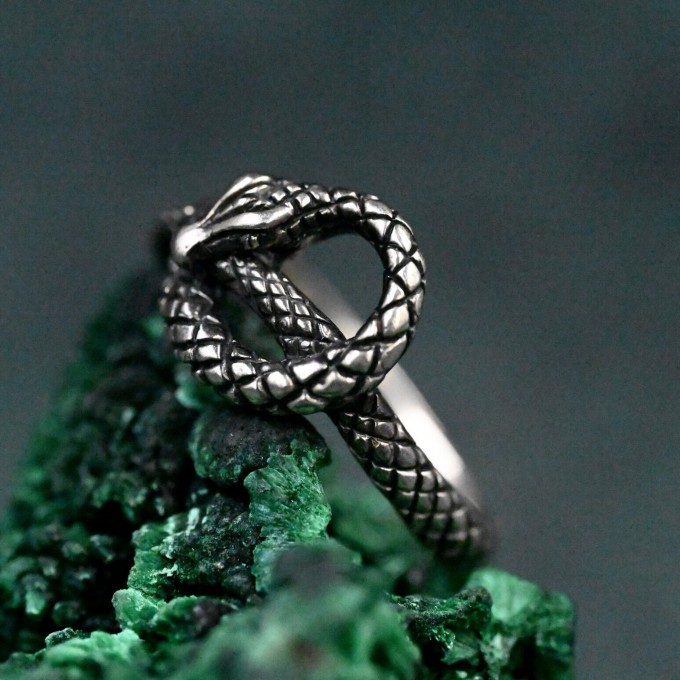 Handcrafted Silver Serpent Gorgon Ring – Unique Gothic Serpentine Symbol of Power