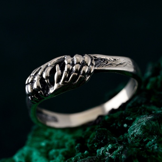 Majestic Silver Lion Claw Ring – Unique Animal-Inspired Jewelry