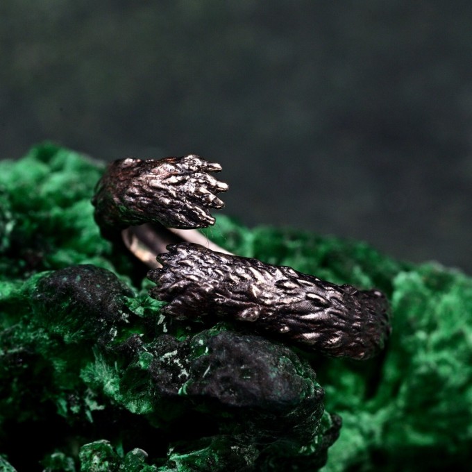 Gothic Silver Ring with Intricate Feather Motif